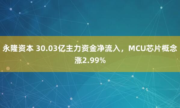 永隆资本 30.03亿主力资金净流入，MCU芯片概念涨2.99%