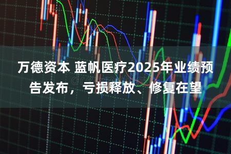 万德资本 蓝帆医疗2025年业绩预告发布，亏损释放、修复在望