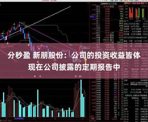 分秒盈 新朋股份：公司的投资收益皆体现在公司披露的定期报告中