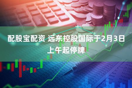 配股宝配资 远东控股国际于2月3日上午起停牌