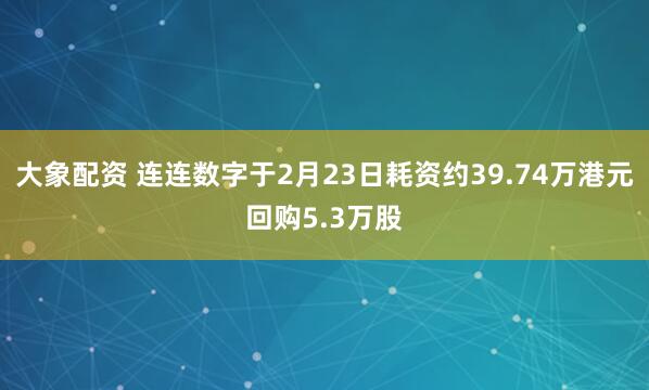 大象配资 连连数字于2月23日耗资约39.74万港元回购5.3万股