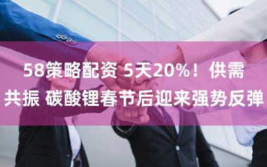 58策略配资 5天20%！供需共振 碳酸锂春节后迎来强势反弹
