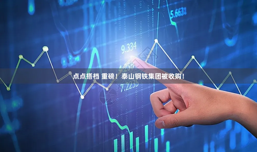 点点搭档 重磅！泰山钢铁集团被收购！