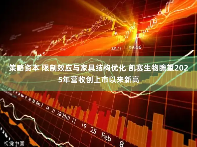策略资本 限制效应与家具结构优化 凯赛生物瞻望2025年营收创上市以来新高