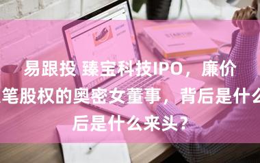 易跟投 臻宝科技IPO，廉价拿到大笔股权的奥密女董事，背后是什么来头？