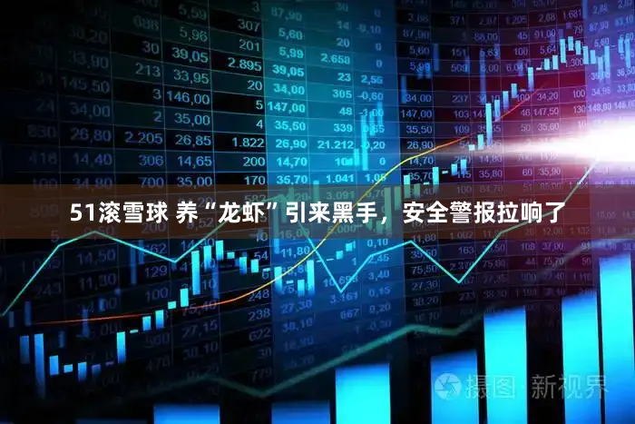 51滚雪球 养“龙虾”引来黑手，安全警报拉响了