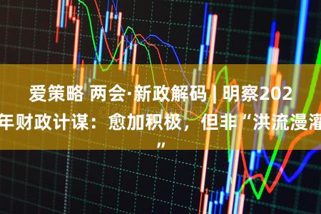 爱策略 两会·新政解码 | 明察2026年财政计谋：愈加积极，但非“洪流漫灌”
