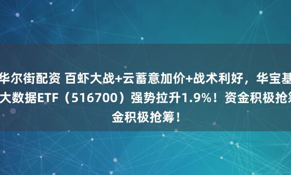 华尔街配资 百虾大战+云蓄意加价+战术利好，华宝基金大数据ETF（516700）强势拉升1.9%！资金积极抢筹！