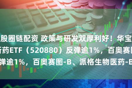 股圈链配资 政策与研发双厚利好！华宝基金港股通翻新药ETF（520880）反弹逾1%，百奥赛图-B、派格生物医药-B领涨