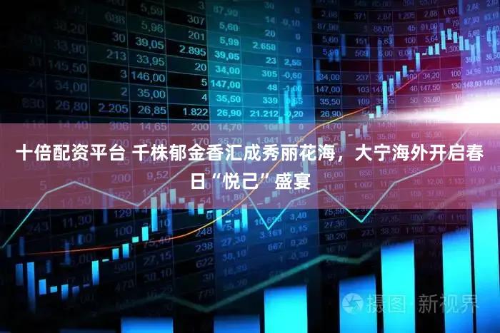 十倍配资平台 千株郁金香汇成秀丽花海，大宁海外开启春日“悦己”盛宴