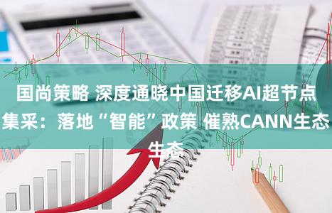 国尚策略 深度通晓中国迁移AI超节点集采：落地“智能”政策 催熟CANN生态