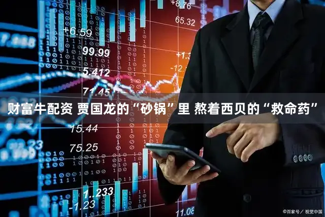 财富牛配资 贾国龙的“砂锅”里 熬着西贝的“救命药”
