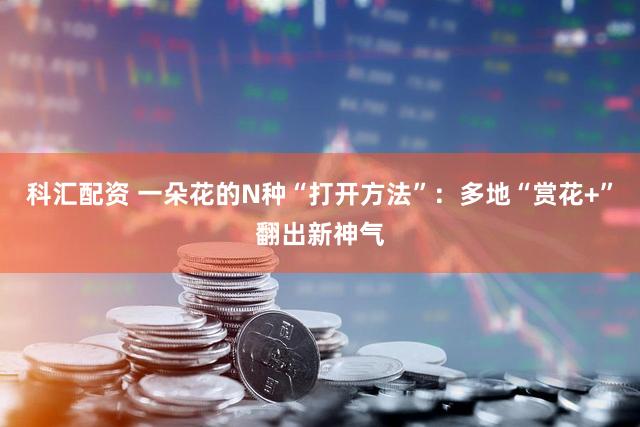 科汇配资 一朵花的N种“打开方法”：多地“赏花+”翻出新神气