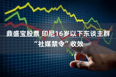 鼎盛宝股票 印尼16岁以下东谈主群“社媒禁令”收效