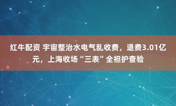 红牛配资 宇宙整治水电气乱收费，退费3.01亿元，上海收场“三表”全袒护查验