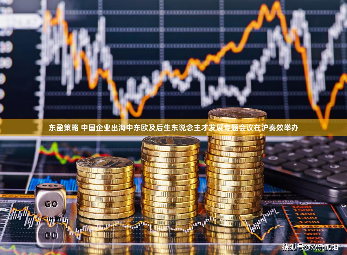 东盈策略 中国企业出海中东欧及后生东说念主才发展专题会议在沪奏效举办