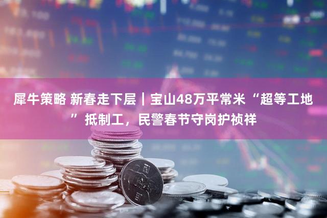 犀牛策略 新春走下层｜宝山48万平常米 “超等工地” 抵制工，民警春节守岗护祯祥
