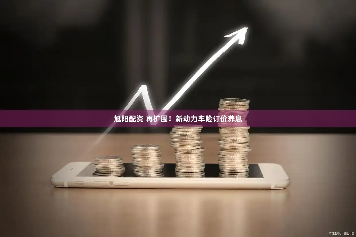 旭阳配资 再扩围！新动力车险订价养息